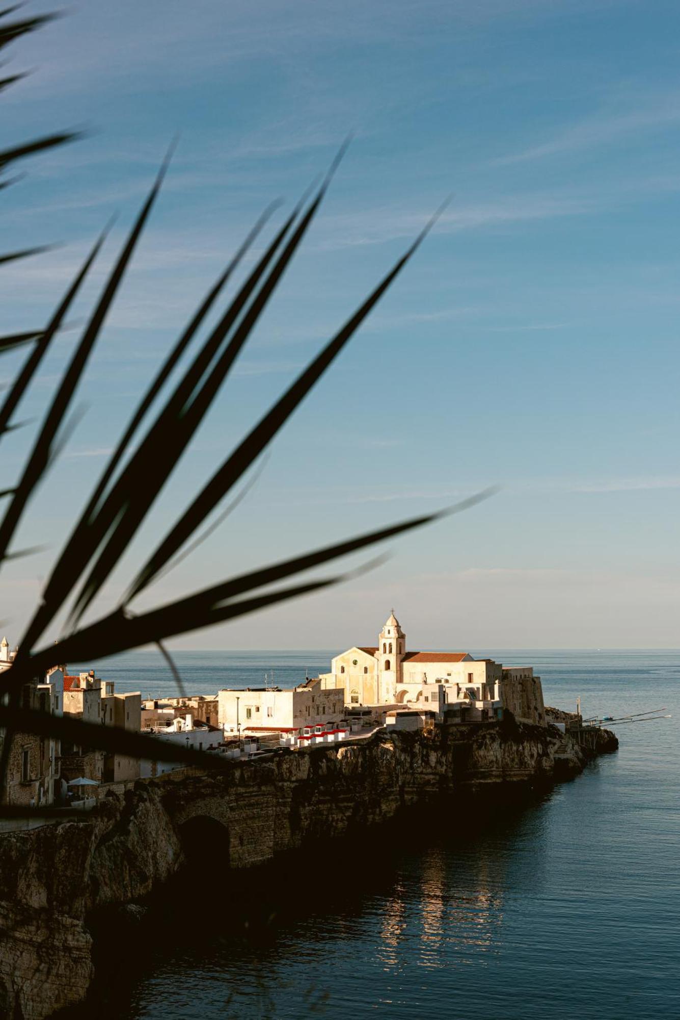 Hotel Degli Aranci Vieste Exteriör bild